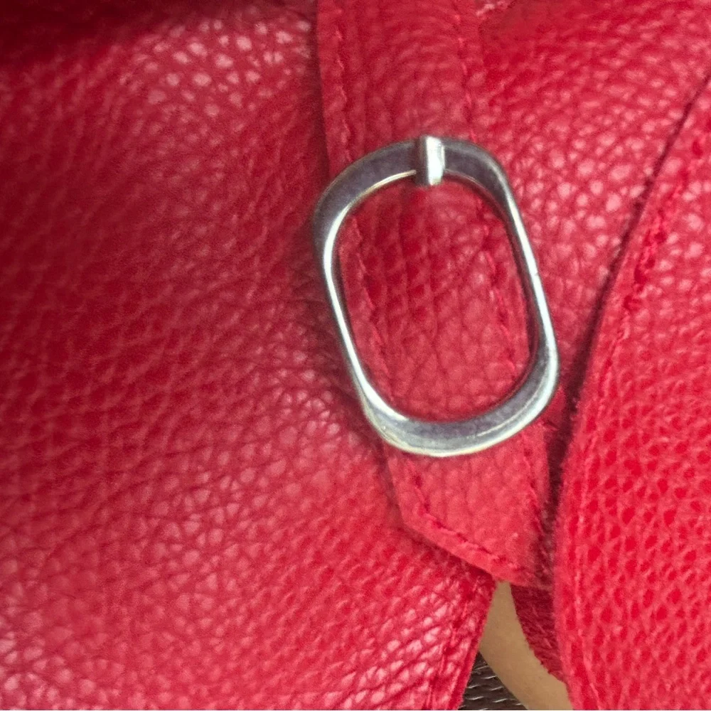 Chopin Roma Italy crossbody Dachshund purse handbag wiener dog red pebbled EUC - Picture 9 of 14